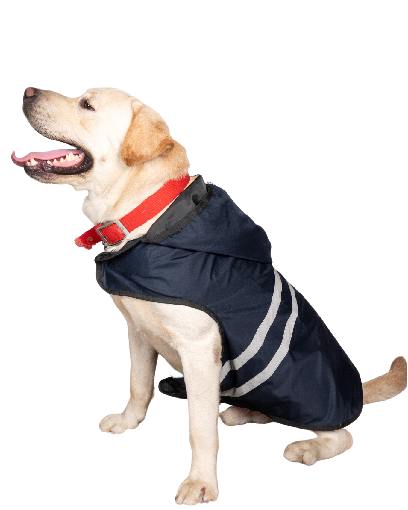 Navy Blue Reflective Raincoat