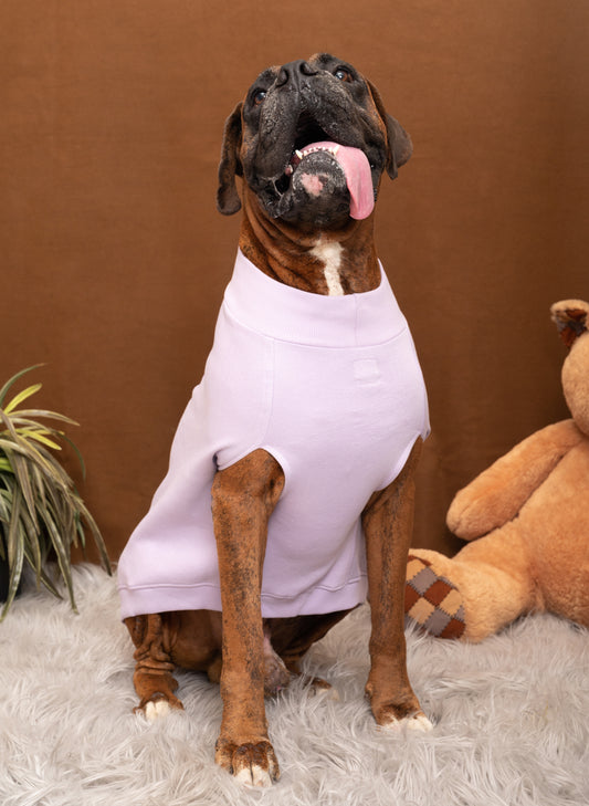 Monster Inc. Sweatshirt for Dogs