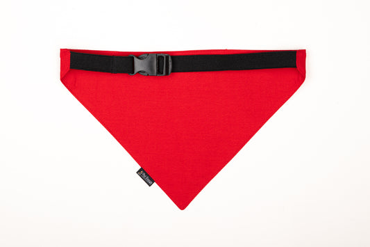 Security Bandana for Cats