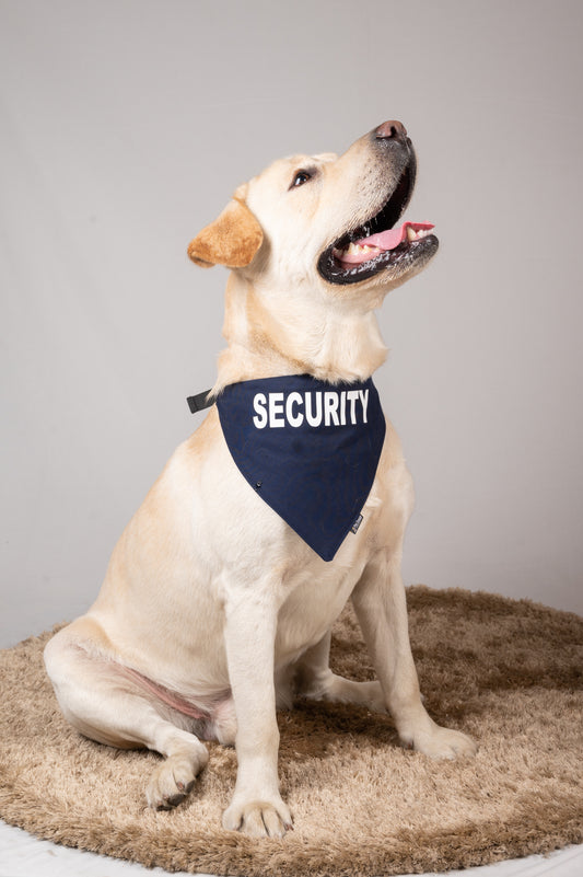 Security Bandana for Dogs