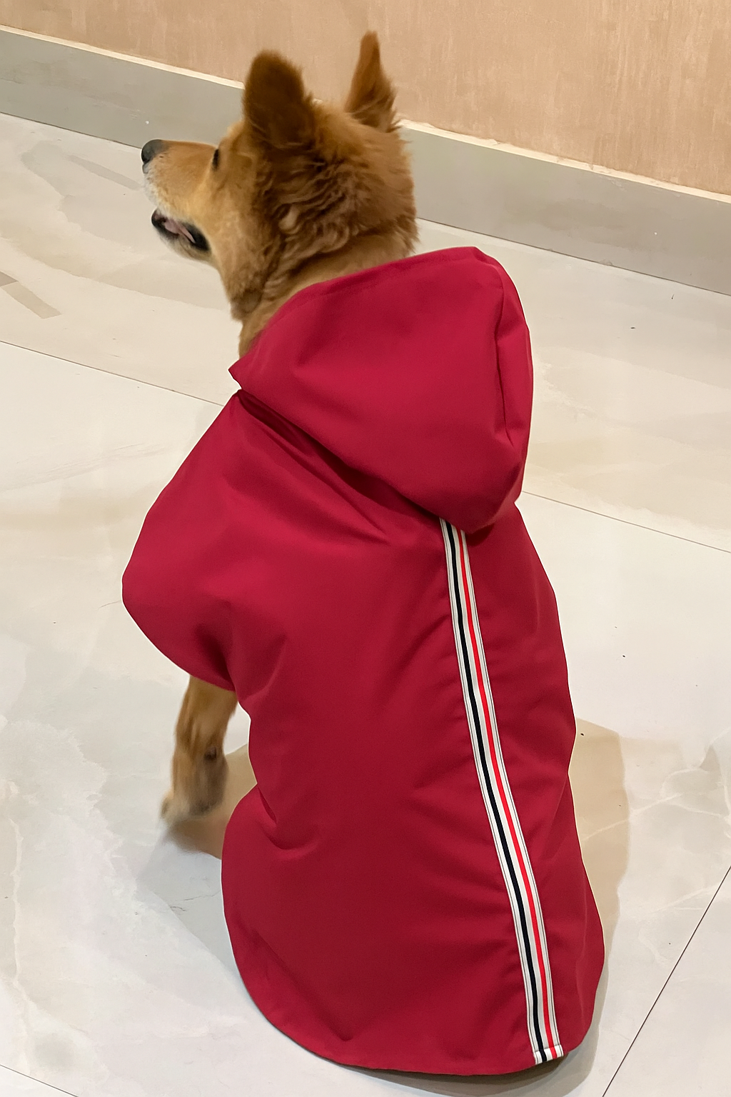 Petsnugs Red Raincoat