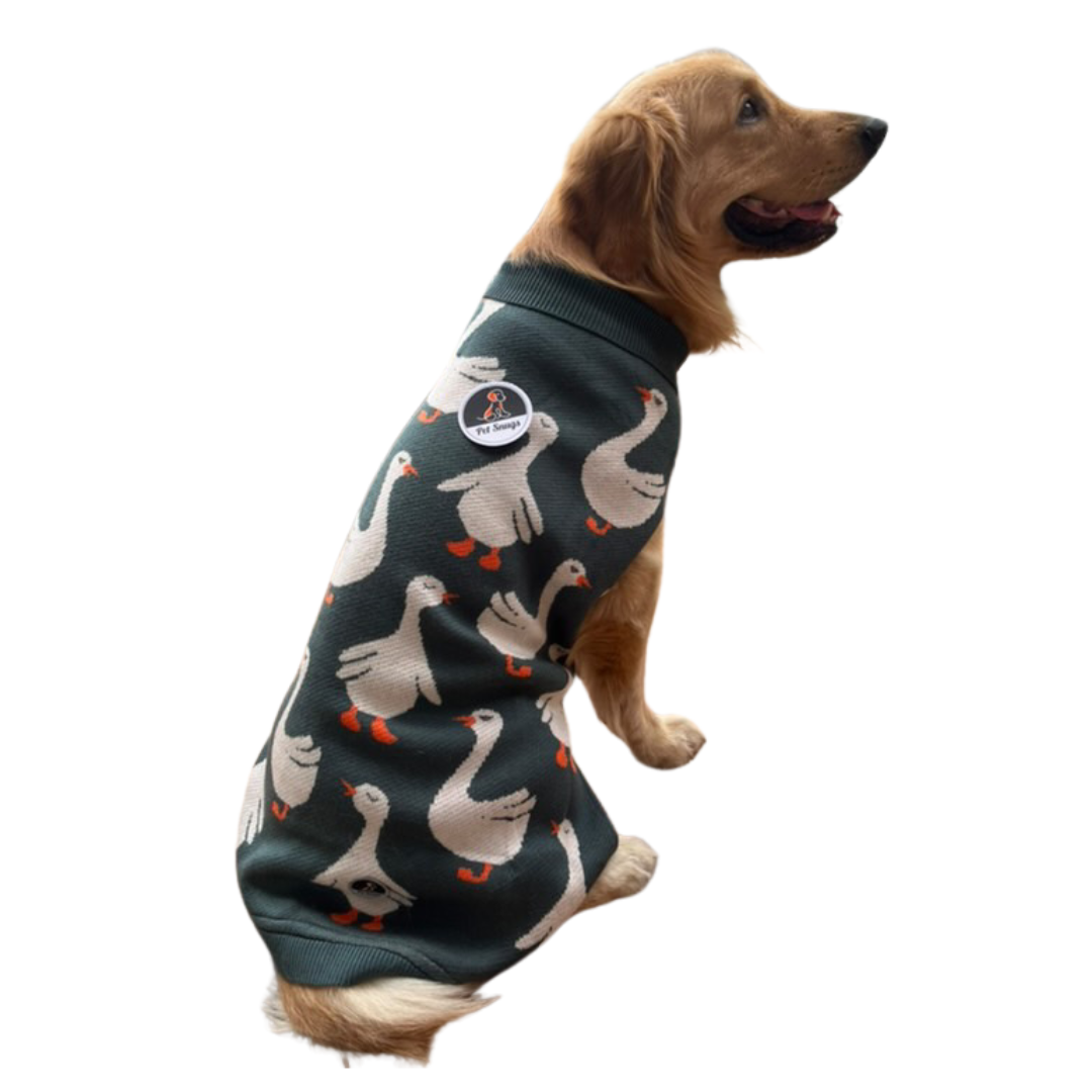 Quack Cozy Knit Sweater for Dogs