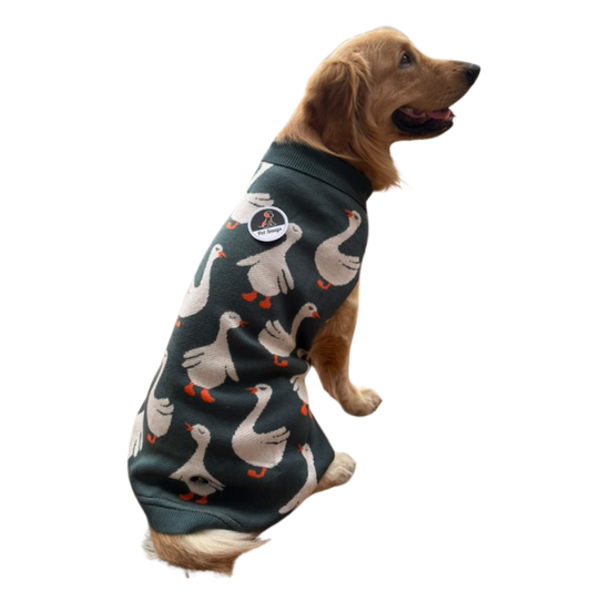 Quack Cozy Knit Sweater for Dogs