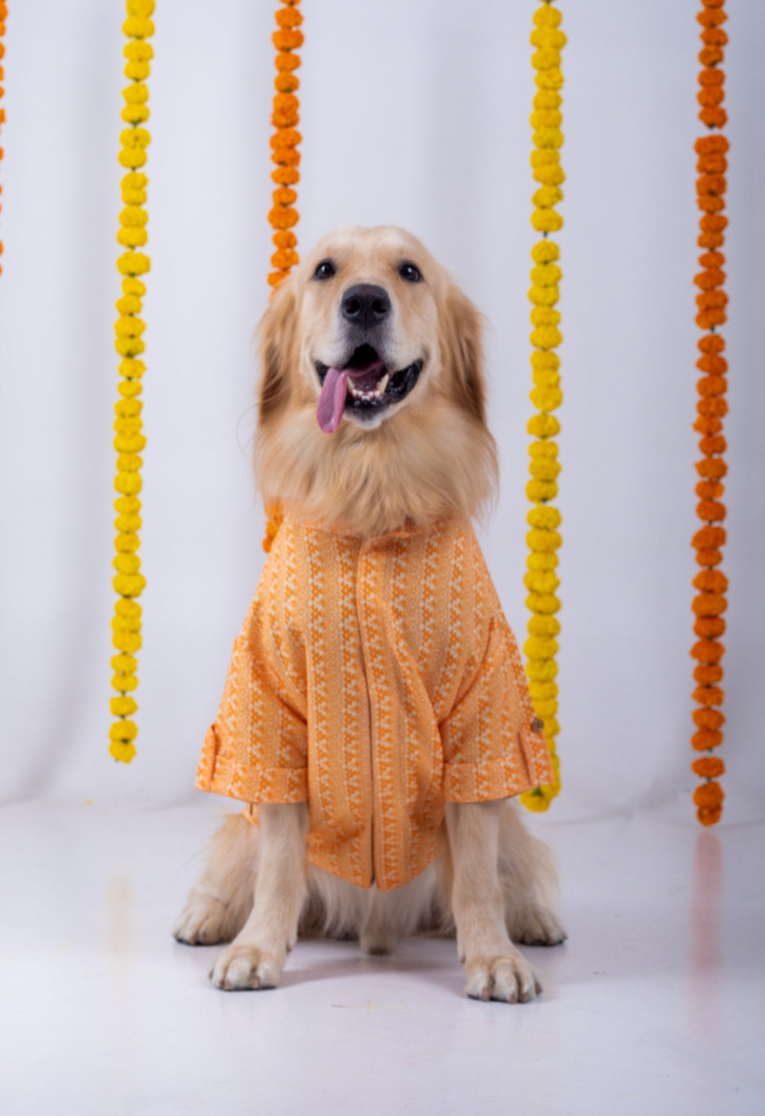 Orange Ethnic Dog Kurta Jacket