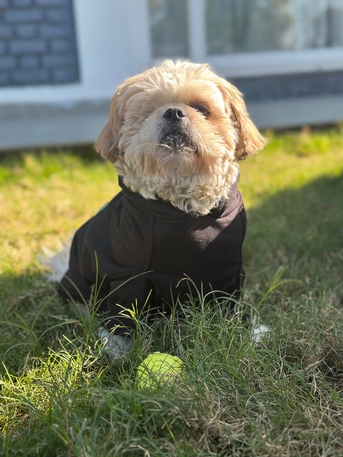Petsnugs Dino Snug Hoodie for Dogs