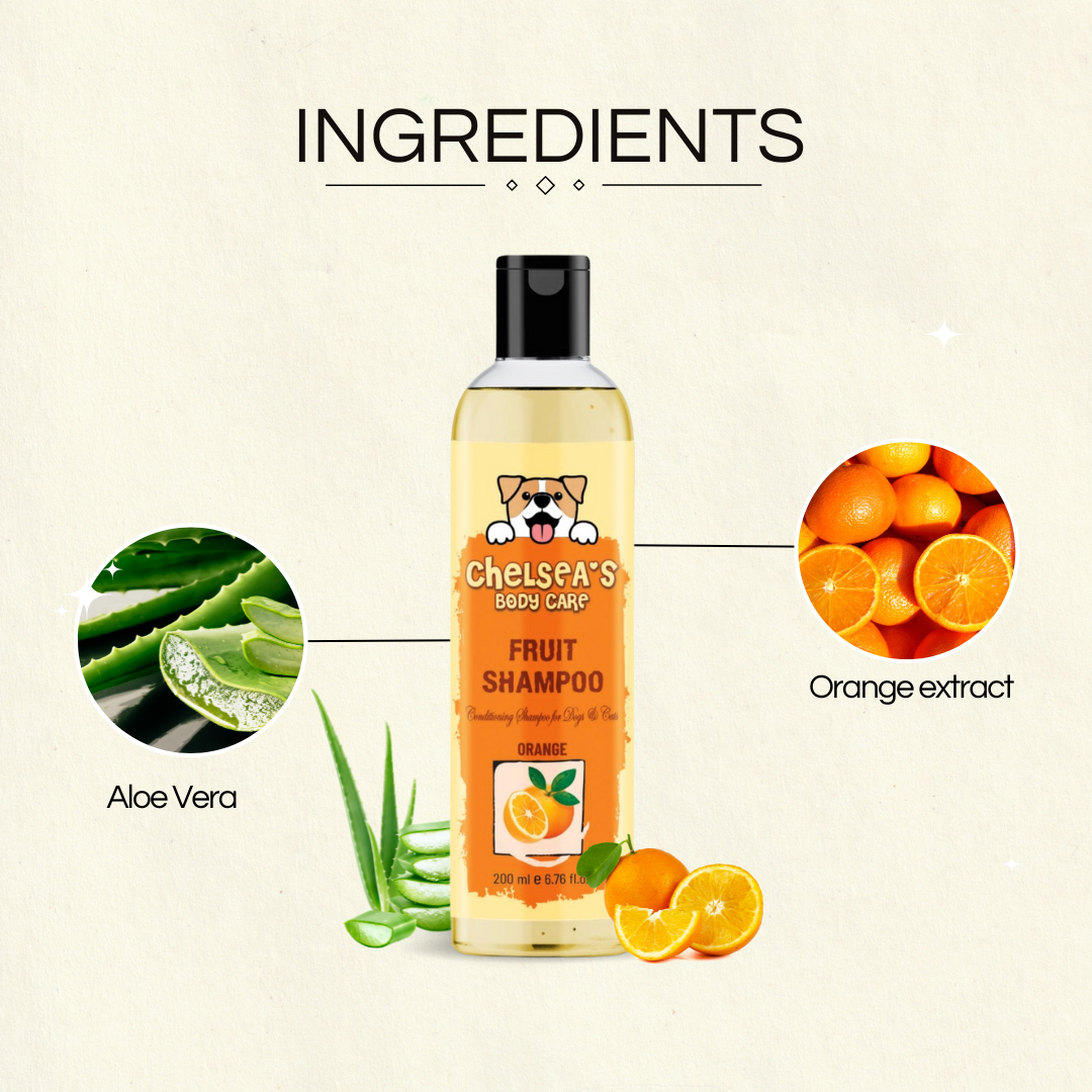Dog Orange Shampoo - 200 ml