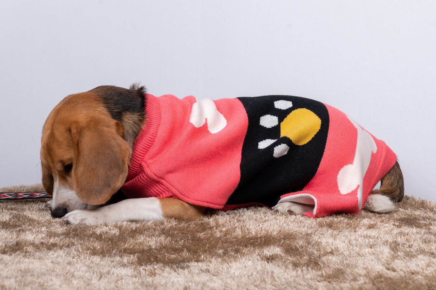 Petsnugs Bone and Paws Sweater for Dogs