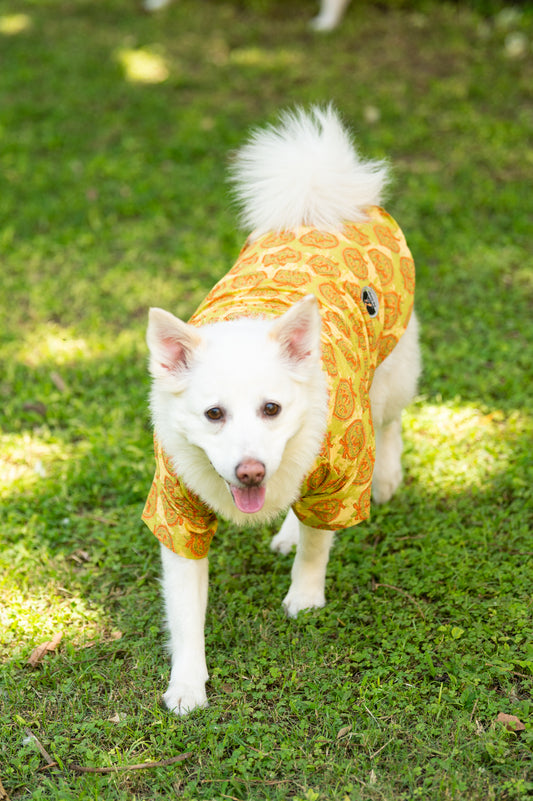 Traditional Green Printed Kurta for Dogs