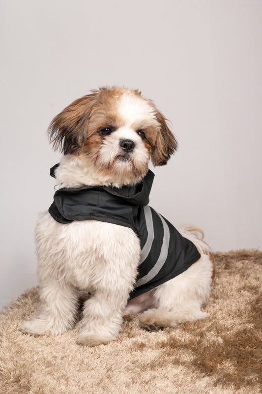 Black Reflective Raincoat for Dogs