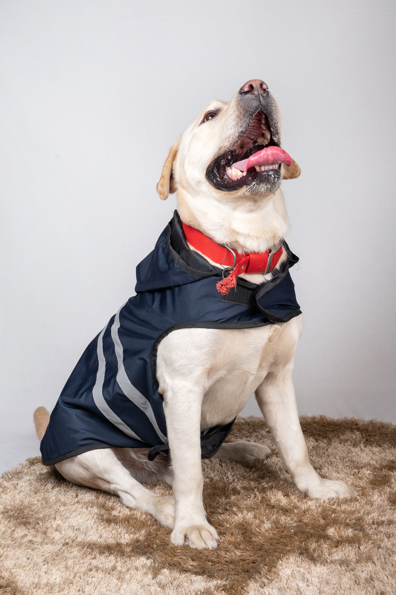 Navy Blue Reflective Raincoat