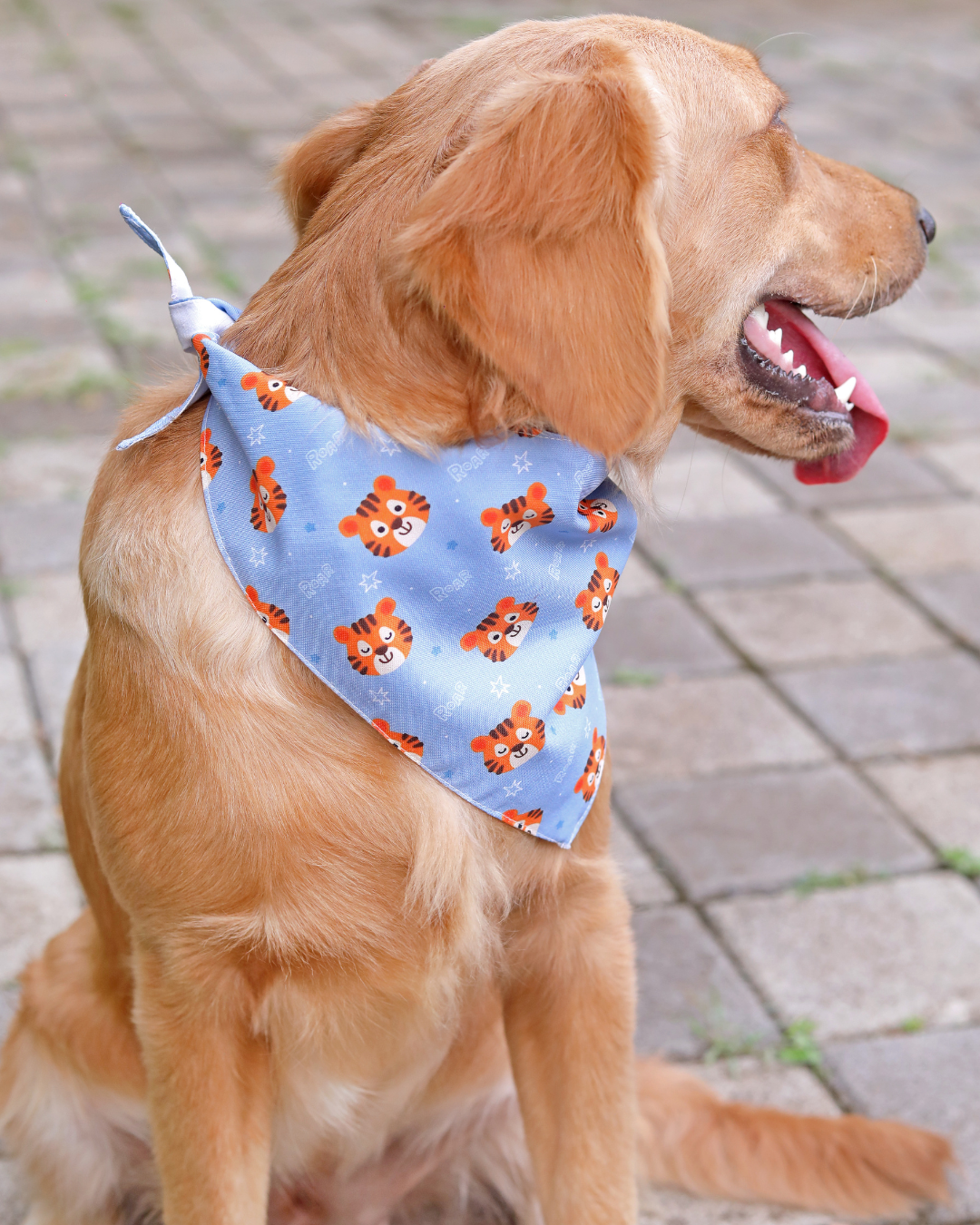 Tiger Pet Bandana