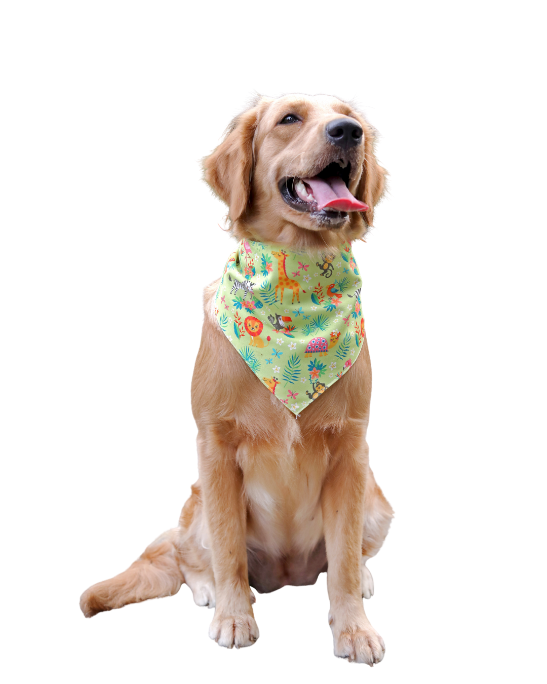 Madagascar Pet Bandana