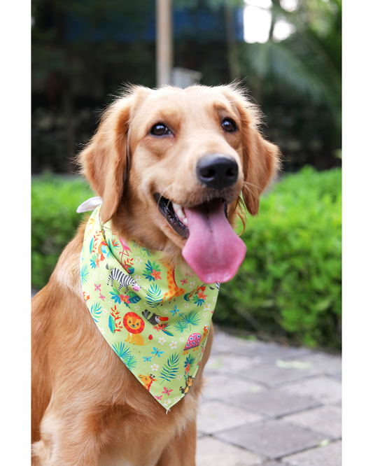 Madagascar Pet Bandana