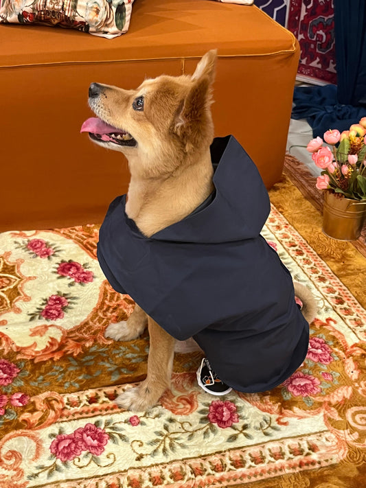 Navy Blue Raincoat for Dogs