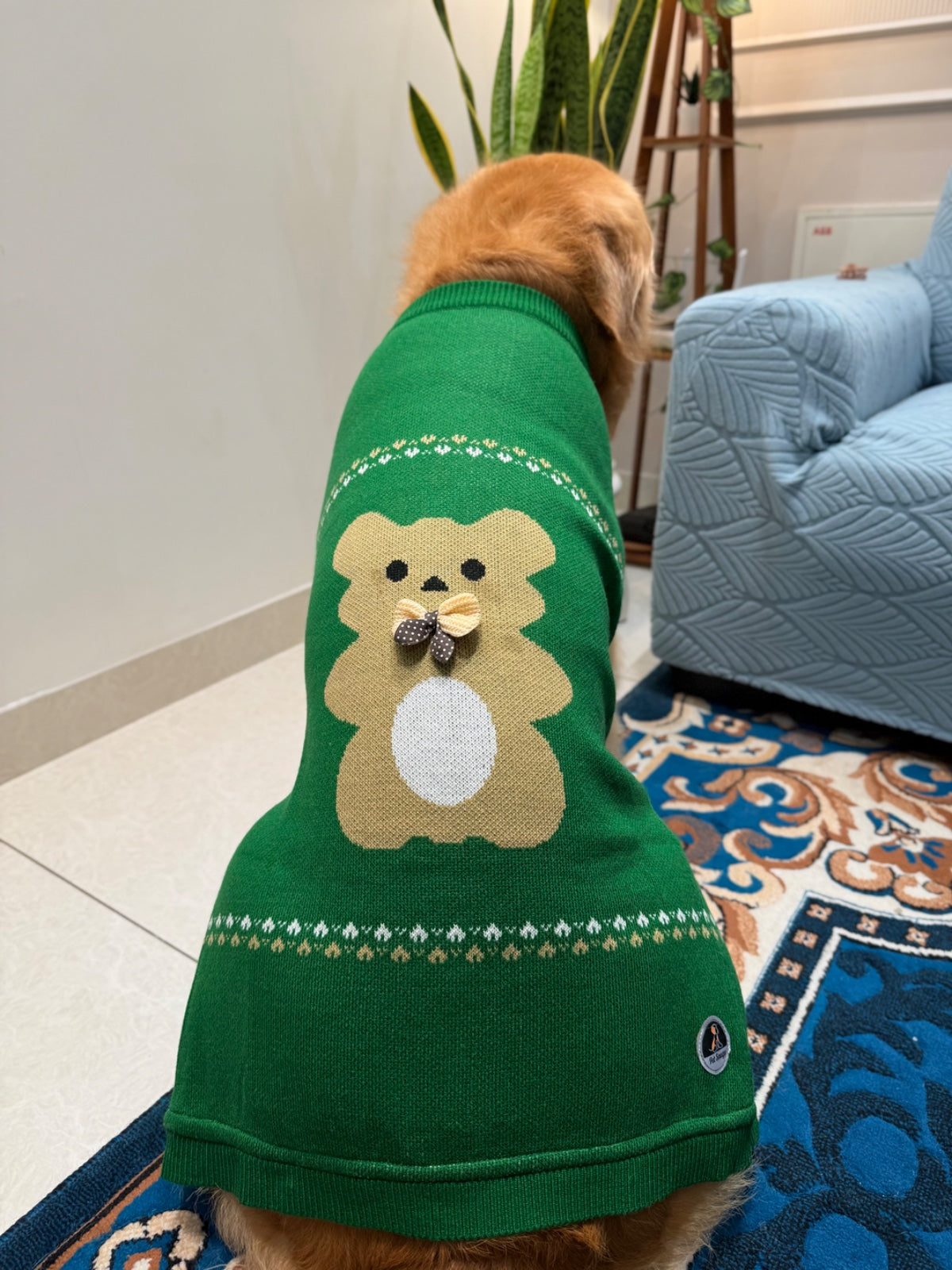 Teddy Bear Sweater