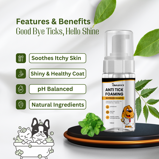 Dr Chelsea Foaming Waterless Shampoo - 100 mL