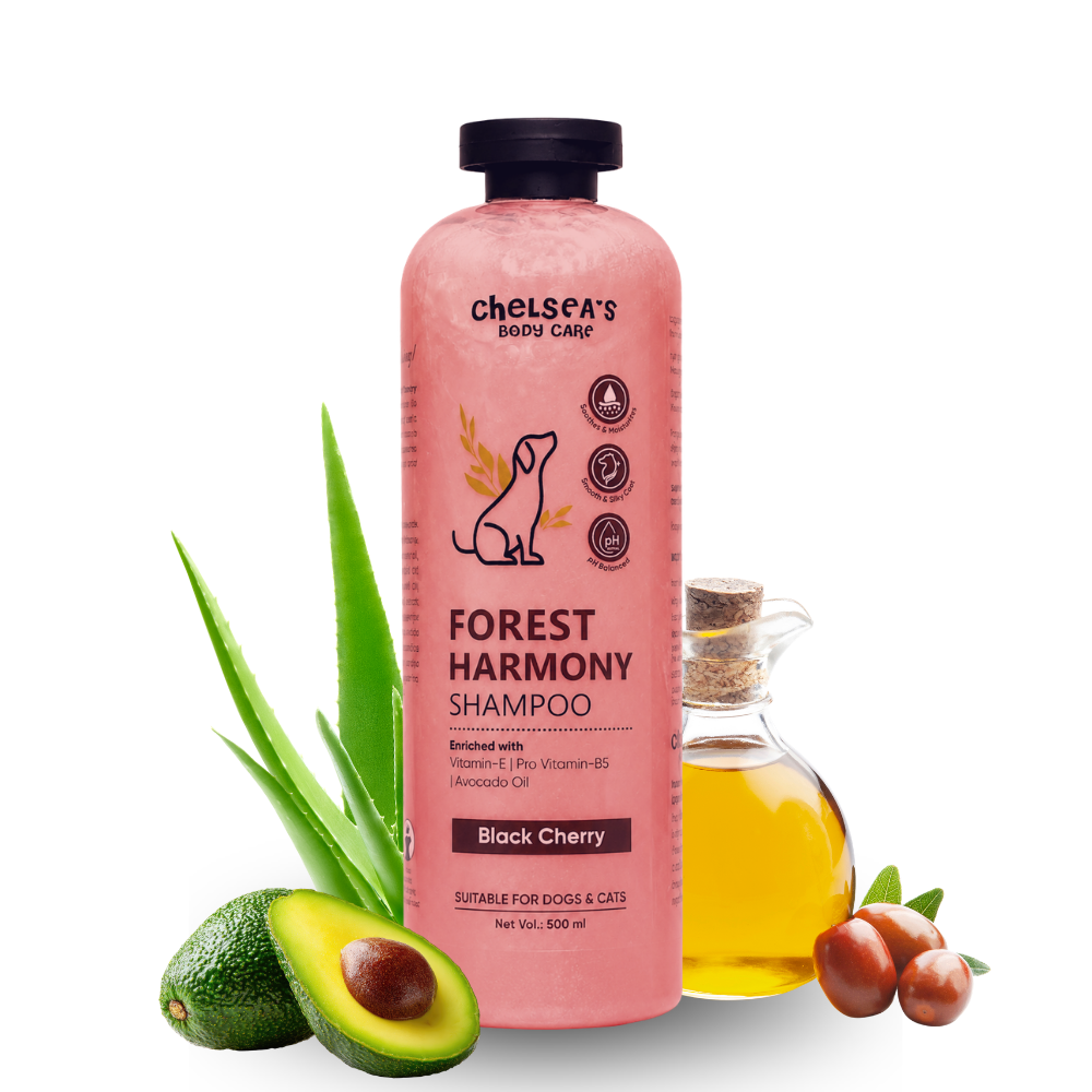 Chelsea's Body Care Forest Harmony Dog & Cat Shampoo 500ml | Black Cherry | pH Balanced | Moisturizing with Vitamin E, Pro Vitamin B5 & Avocado Oil | Suitable for All Breeds