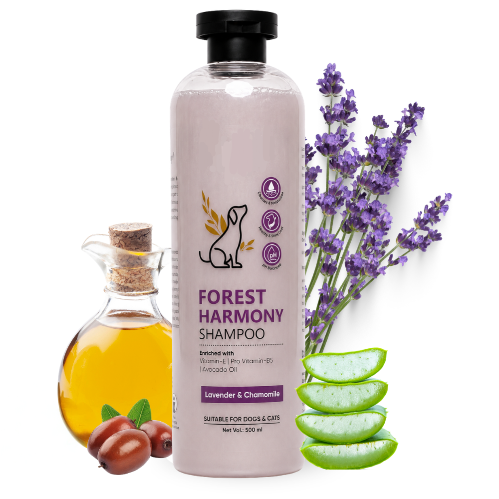 Chelsea's Body Care Forest Harmony Dog & Cat Shampoo 500ml | Lavender & Chamomile | pH Balanced