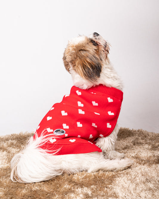 Petsnugs Red Heart Sweater