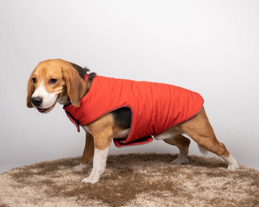 Petsnugs Rust Jacket for Dogs