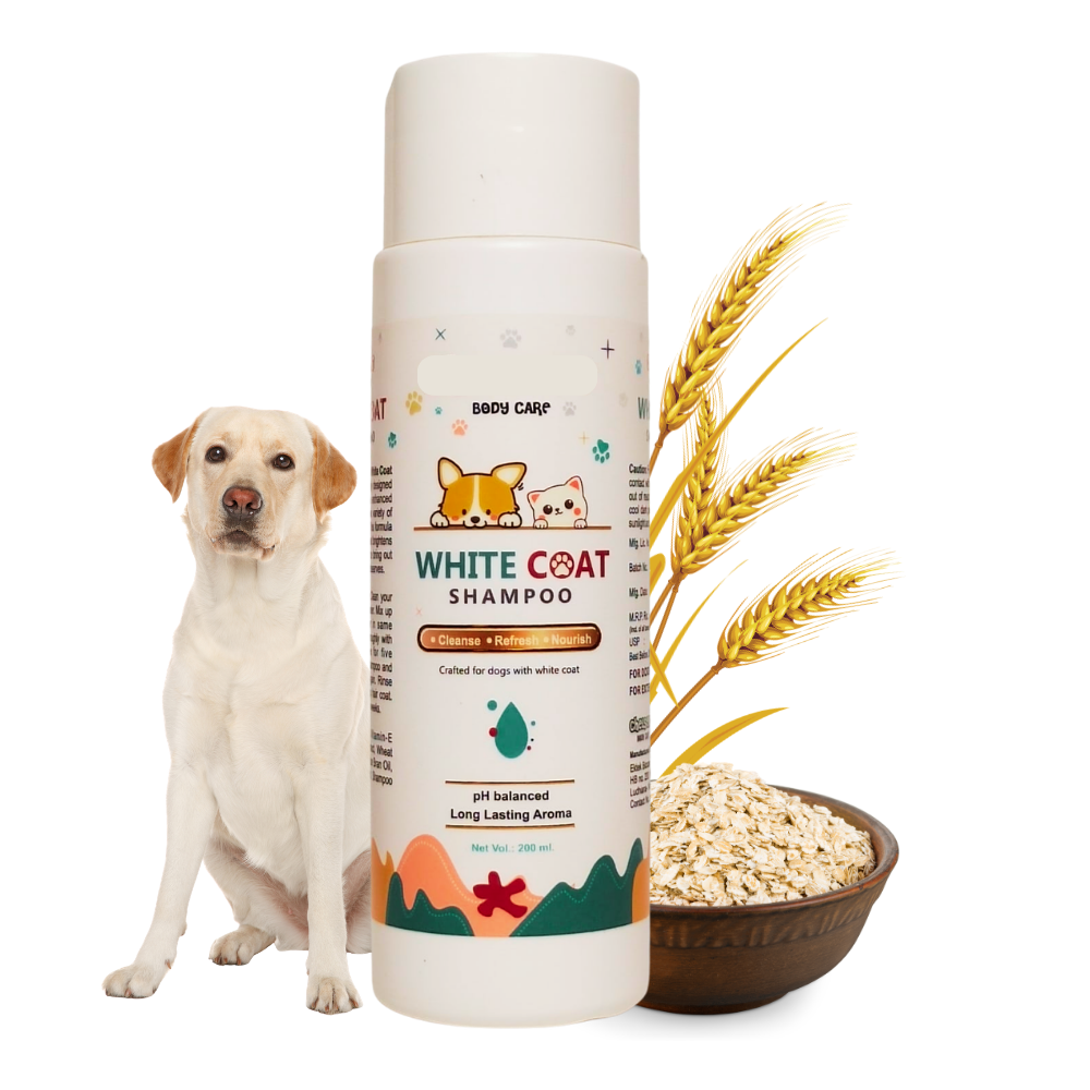 Chelsea's White Coat Shampoo for Dogs – pH Balanced Dog & Cat Shampoo with Oatmeal & Vitamin E, 200 ml