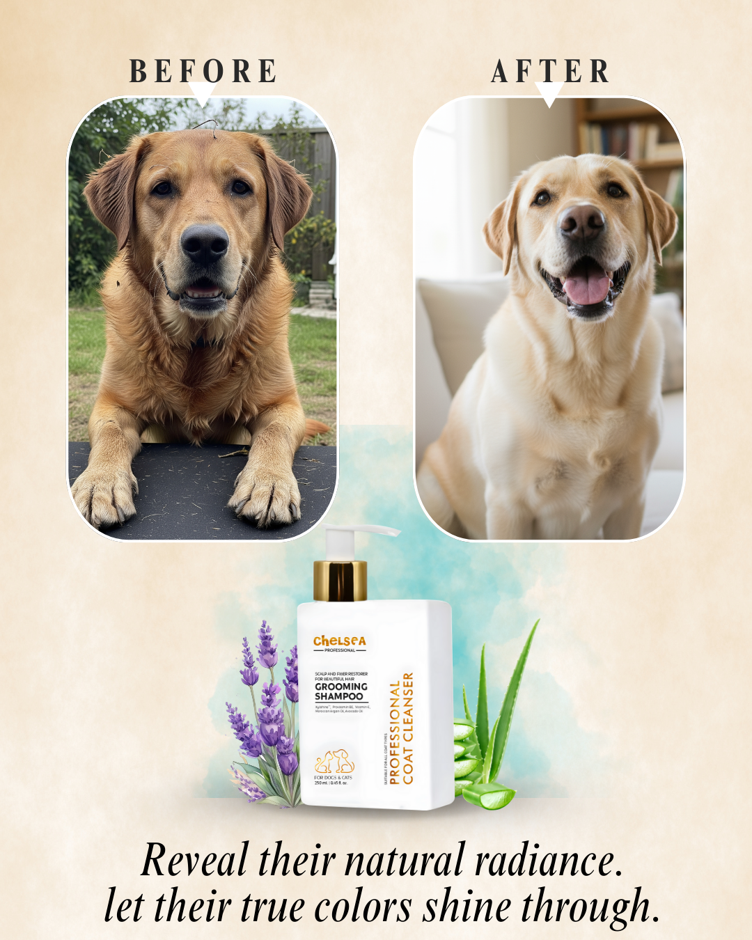 Chelsea Professional Grooming Shampoo - 250 mL