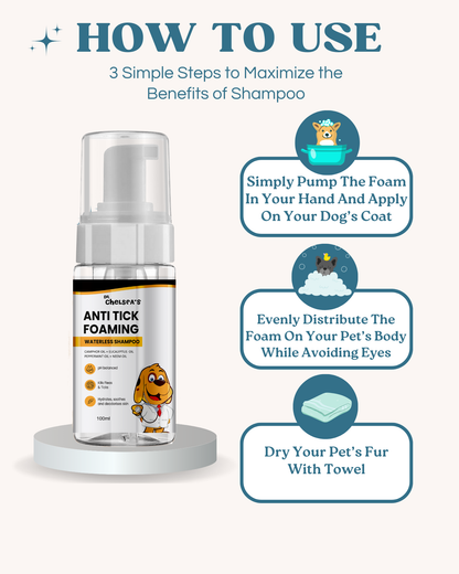Dr Chelsea Foaming Waterless Shampoo - 100 mL