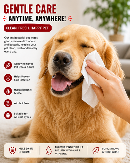 Chelsea’s Body Care Antibacterial Pet Wipes for Dogs & Cats – 80 Wipes