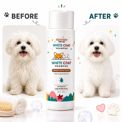 Chelsea's White Coat Shampoo for Dogs – pH Balanced Dog & Cat Shampoo with Oatmeal & Vitamin E, 200 ml