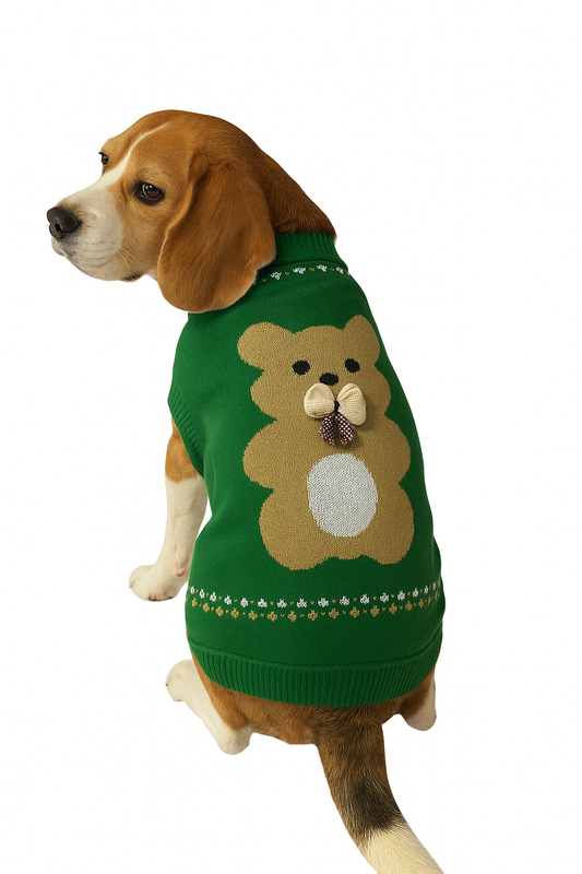 Teddy Bear Sweater