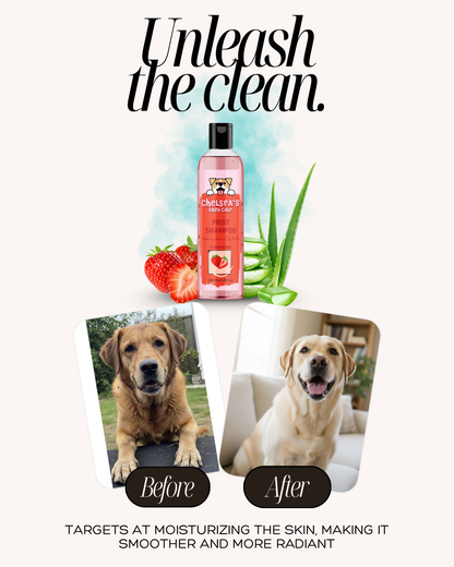 Dog Strawberry Shampoo - 200 ml