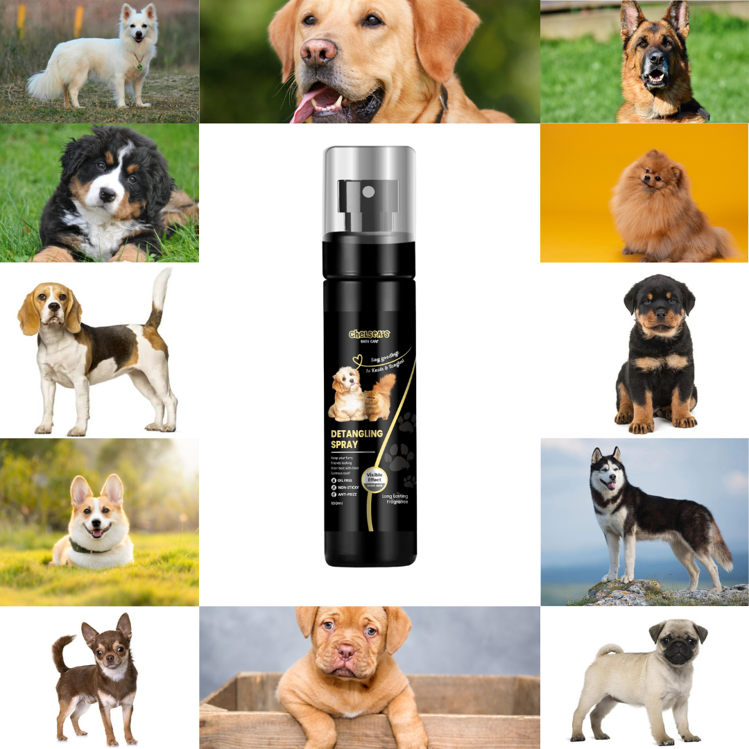 Pet Detangling Spray
