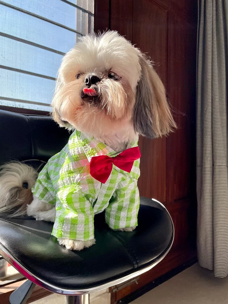 Green Check Shirt With Bow