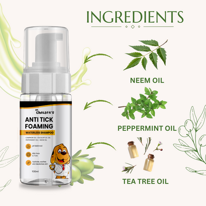 Dr Chelsea Foaming Waterless Shampoo - 100 mL