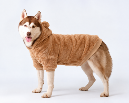 Husky wearing camel furry dog sweater