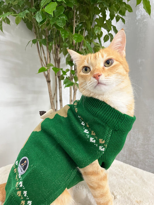 Teddy Bear Sweater for Cats