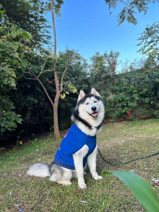 Petsnugs Blue Shrooms T-shirt