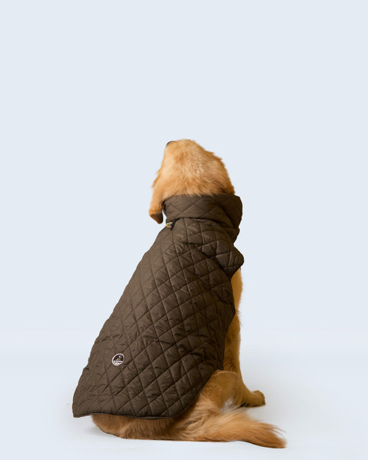 Petsugs Olive Green Jacket for Dogs