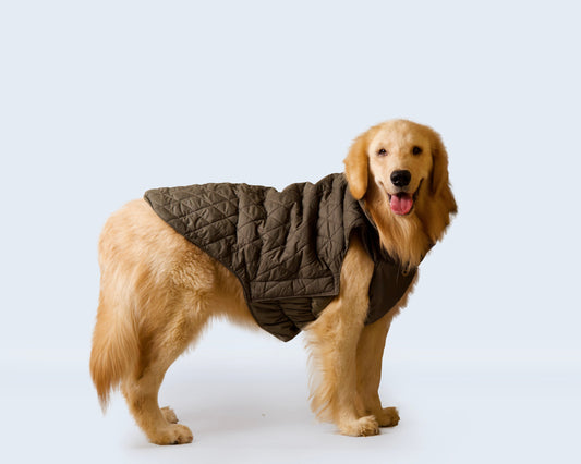 Petsugs Olive Green Jacket for Dogs