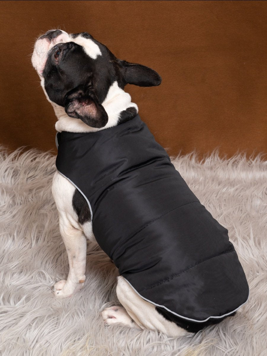 Petsnugs Winter Flex Jacket