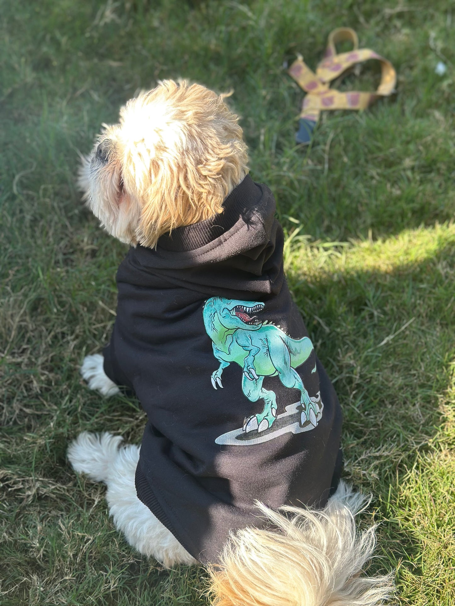Petsnugs Dino Snug Hoodie for Dogs