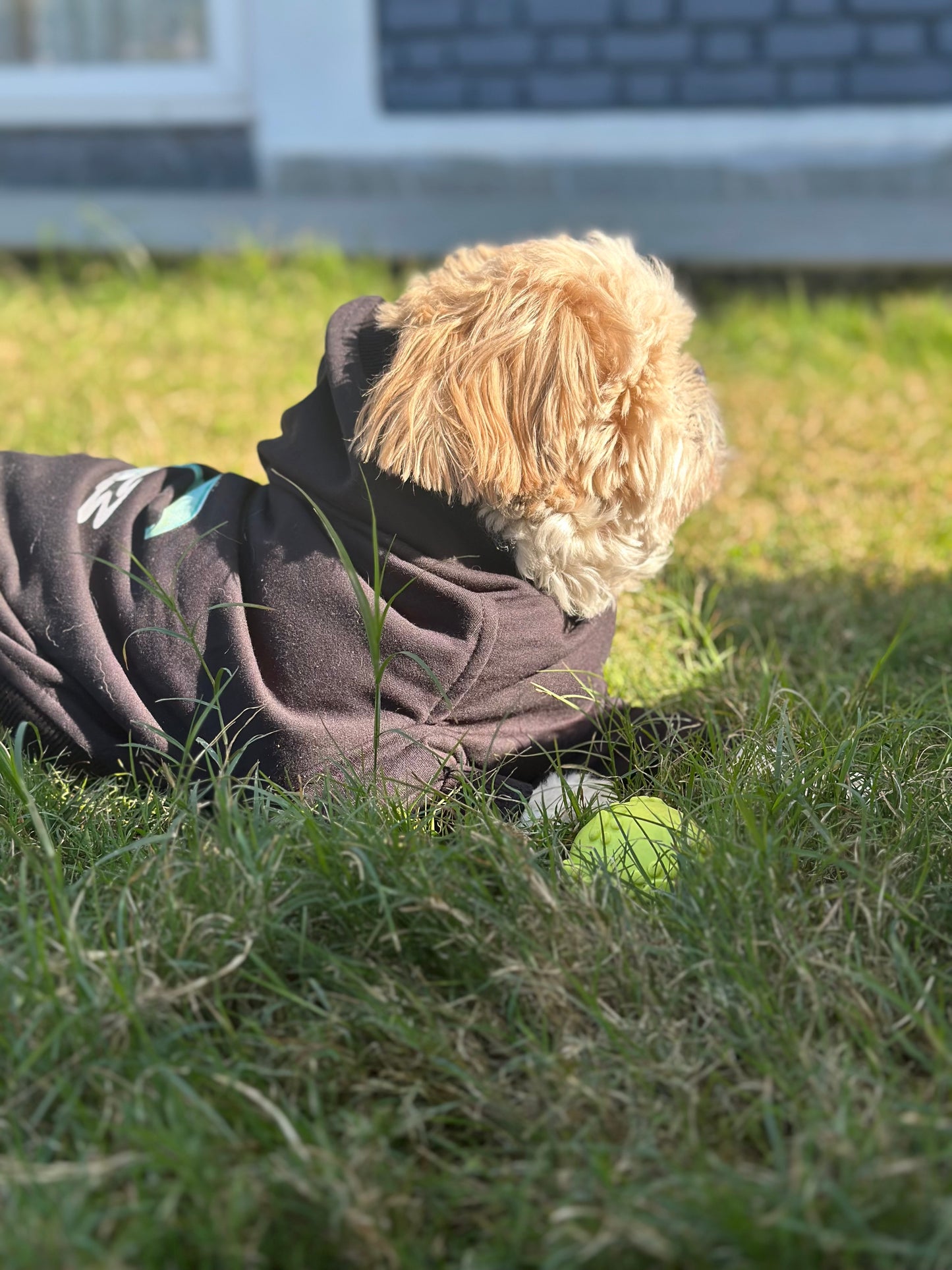 Petsnugs Dino Snug Hoodie for Dogs