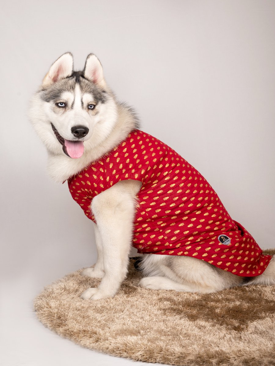 Traditional Red Printed Kurta