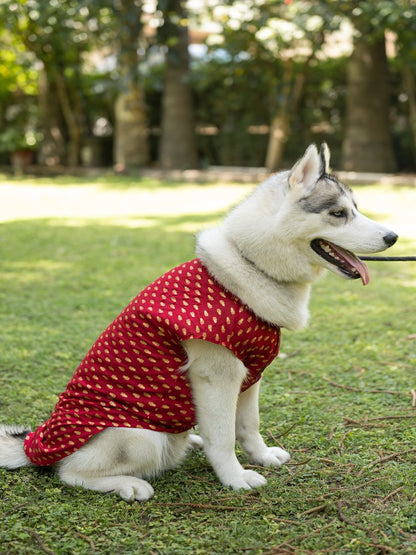 Traditional Red Printed Kurta