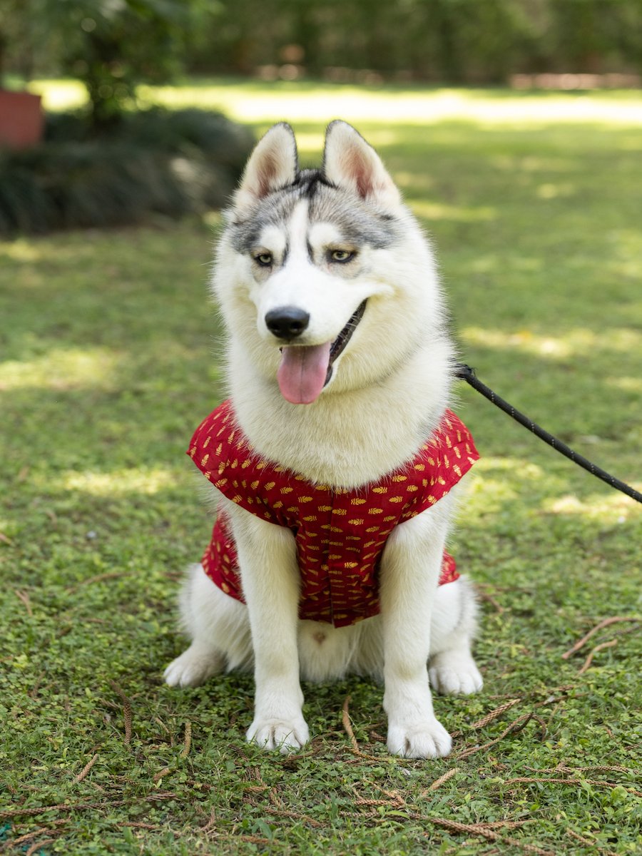 Traditional Red Printed Kurta