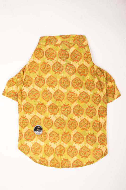 Traditional Green Printed Kurta for Cats