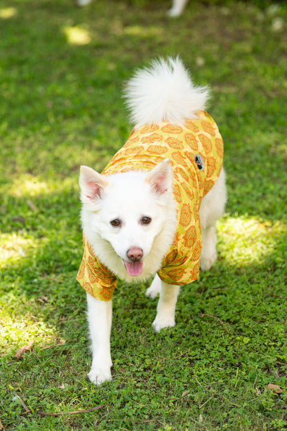 Traditional Green Printed Kurta for Dogs