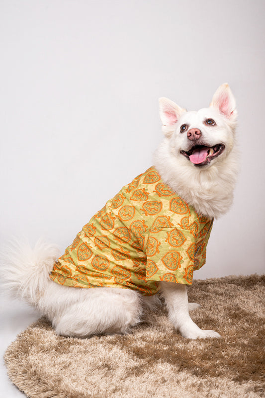 Traditional Green Printed Kurta for Dogs