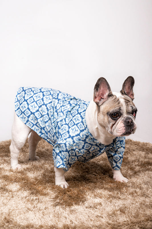 Traditional Blue Printed Kurta for Dogs
