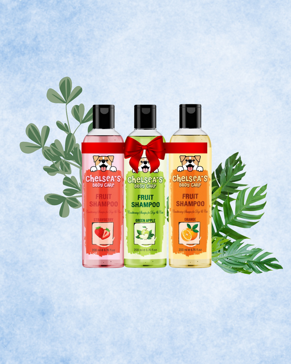 Chelsea's Shampoo Set Of 3 || Orange, Strawberry, Green Apple Fruit Shampoo - 200ml each